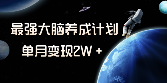 冷门虚拟项目,最强大脑养成计划,一个月变现2W+