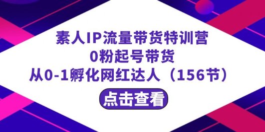 繁星·计划素人IP流量带货特训营:0粉起号带货 从0-1孵化网红达人(156节)