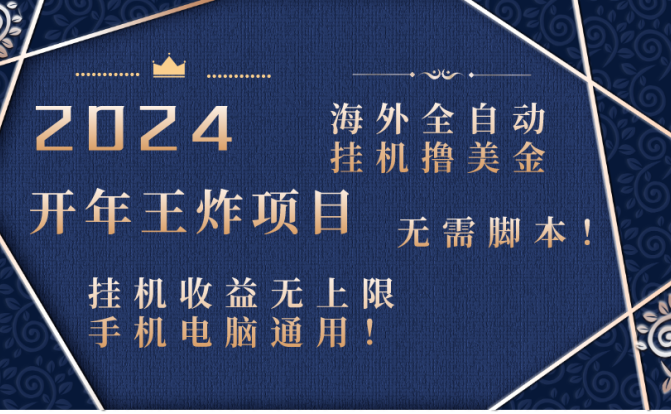 2024海外全自动挂机撸美金项目！手机电脑均可，无需脚本，收益无上限！