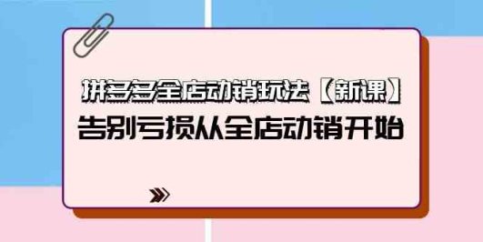 拼多多全店动销玩法【新课】,告别亏损从全店动销开始(4节视频课)