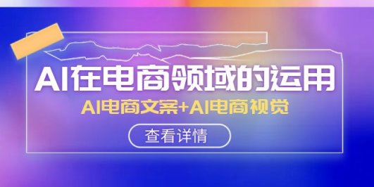 AI-在电商领域的运用线上课,AI电商文案+AI电商视觉(14节课)