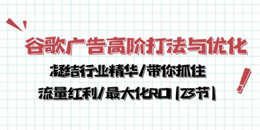 谷歌广告高阶打法与优化,凝结行业精华/带你抓住流量红利/最大化ROI(23节)