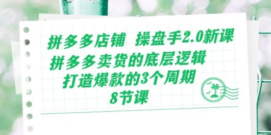 拼多多店铺 操盘手2.0新课,拼多多卖货的底层逻辑,打造爆款的3个周期-8节