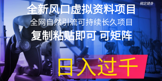 全新风口虚拟资料项目 全网自然引流可持续长久项目 复制粘贴即可可矩阵…