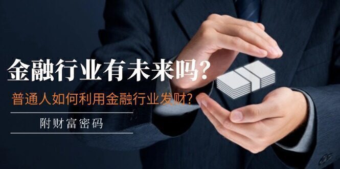 某付费文章:金融行业有未来吗?普通人如何利用金融行业发财?(附财富密码)