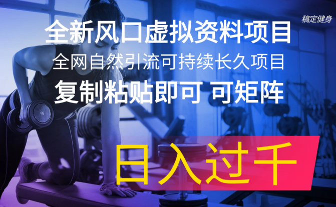 全新风口虚拟资料项目 全网自然引流可持续长久项目 复制粘贴即可可矩阵…