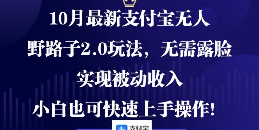 10月最新支付宝无人野路子2.0玩法,无需露脸,实现被动收入,小白也可…