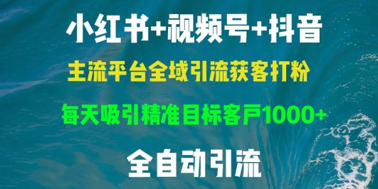 小红书,视频号,抖音主流平台全域引流获客打粉,每天吸引精准目标客户…