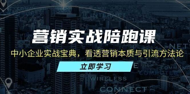 营销实战陪跑课:中小企业实战宝典,看透营销本质与引流方法论