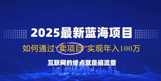 2025最新蓝海项目,零门槛轻松复制,月入10万+,新手也能操作!