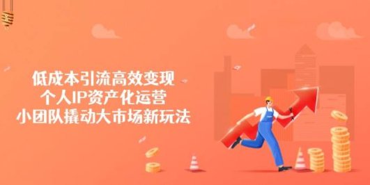 低成本引流高效变现,个人IP资产化运营,小团队撬动大市场新玩法
