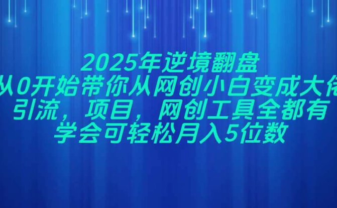 2025年逆境翻盘，从0开始带你从网创小白变成大佬，引流，项目，网创工…