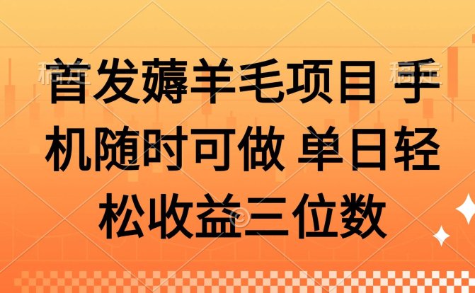 薅羊毛项目 手机随时可做 单日轻松收益三位数