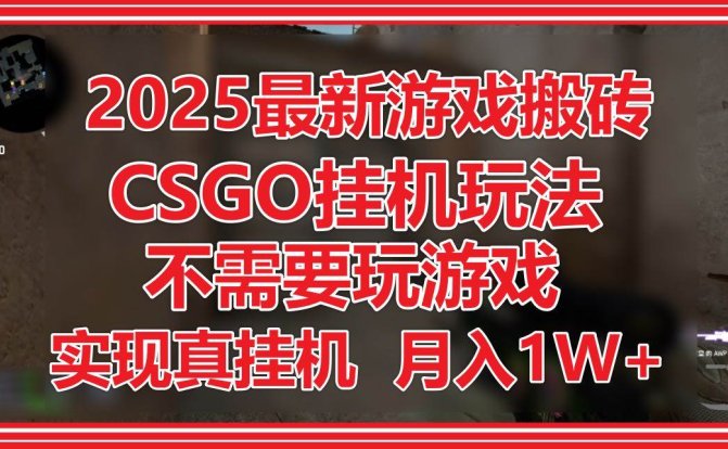 2025最新游戏搬砖,CSGO挂机,不需要玩游戏,实现真挂机,月入1W+