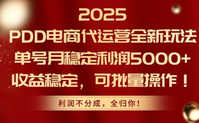 2025PDD电商代运营全新玩法,单号月稳定利润5000+,收益稳定,可批量操作