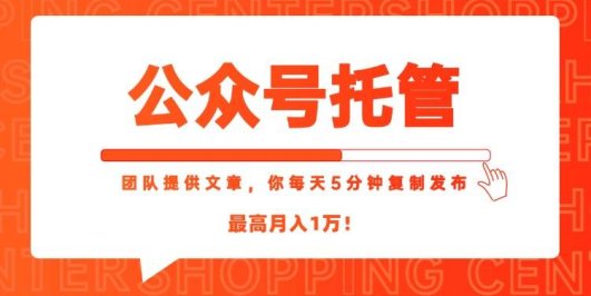 【公众号托管 】我提供文章，你每天５分钟复制发布，最高月入1W