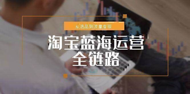 淘宝蓝海运营全链路,从选品到流量变现,小类目突围完整方案