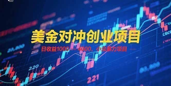 美金对冲创业项目,日收益 1000 – 4000,小众暴力项目