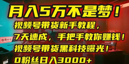 月入5万不是梦！视频号带货新手教程，7天速成，手把手教你赚钱！视频号…