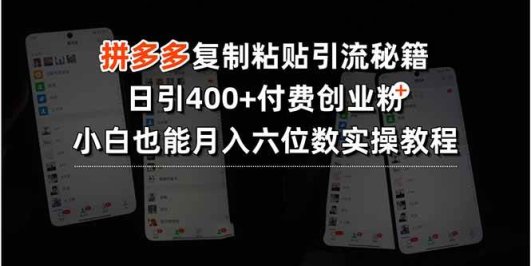 拼多多复制粘贴引流秘籍，日引400+付费创业粉，小白也能月入六位数实操…