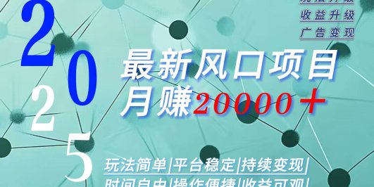 2025广告赛道新风口-月赚2W+玩法简单,时间自由
