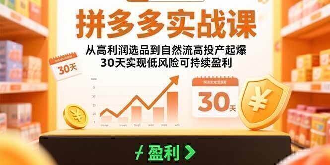 拼多多实战课：从高利润选品到自然流高投产起爆 30天实现低风险可持续盈利