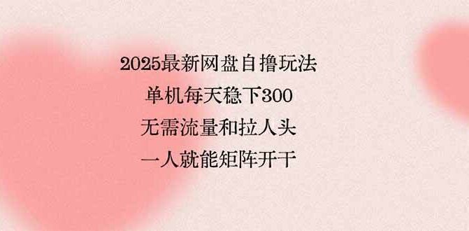 2025最新网盘自撸玩法,单机每天稳下3张,无需流量和拉人头,一个人就…