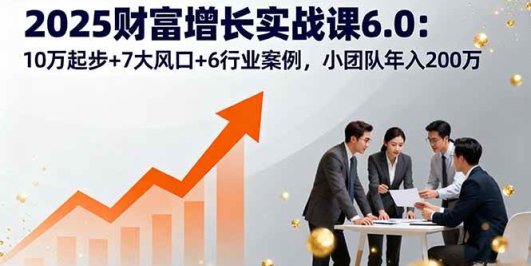 2025财富增长实战课6.0：10万起步+7大风口+6行业案例，小团队年入200万