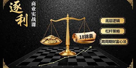 《逐 利》商业实战课，底层逻辑、杠杆策略、18锦囊，跨周期财富心法