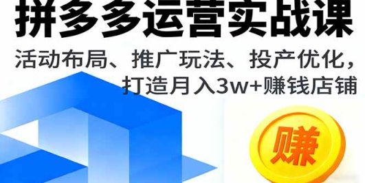 拼多多运营实战课，活动布局、推广玩法、投产优化，打造月入3w+赚钱店铺