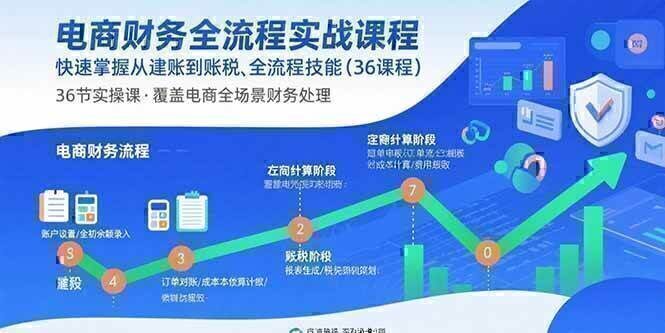 电商财务全流程实战课程：快速掌握从建账到报税的全流程技能（36节课）