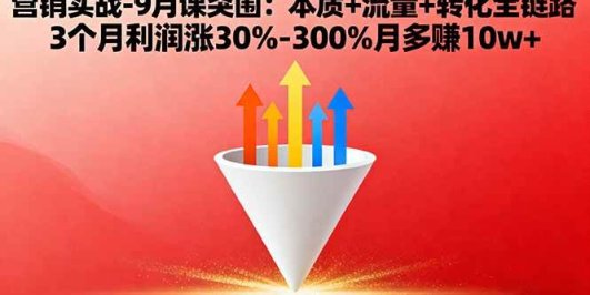 营销实战-9月突围课:本质+流量+转化全链路 3个月利润涨30%-300%月多赚10w+