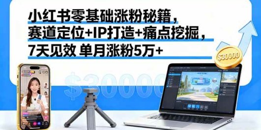 小红书零基础涨粉秘籍，赛道定位+IP打造+痛点挖掘，7天见效 单月涨粉5万+
