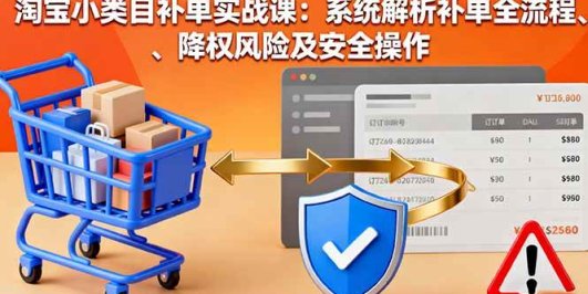 淘宝小类目补单实战课：系统解析补单全流程、降权风险及安全操作