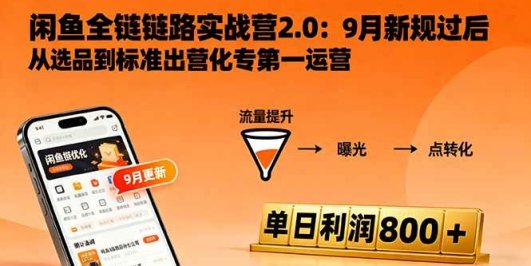 闲鱼变现课3.0：掌握链接优化、流量提升、商业变现，单日利润800+