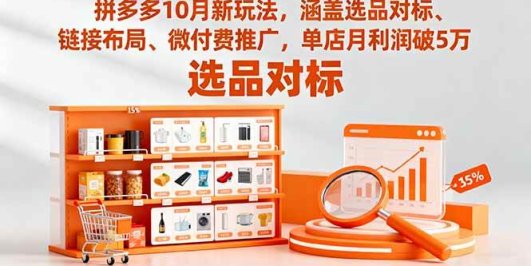 拼多多10月新玩法，涵盖选品对标、链接布局、微付费推广，单店月利润破5万