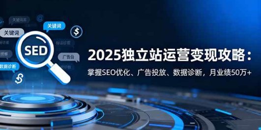 2025独立站运营变现攻略：掌握SEO优化、广告投放、数据诊断，月业绩50万+