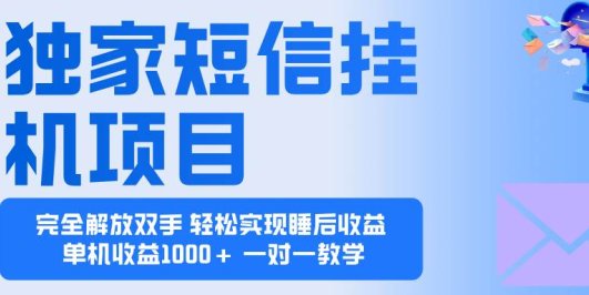 2025全新电脑挂机项目  操作简单，单机当天收益1000+，收益无上限，可…
