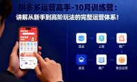 拼多多运营高手-10月训练营：讲解从新手到高阶玩法的完整运营体系！