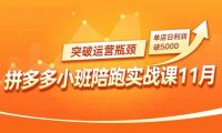拼多多小班陪跑实战课11月,强付费矩阵、原价活动、暗券引流,突破运营瓶颈,单店日利润破5000