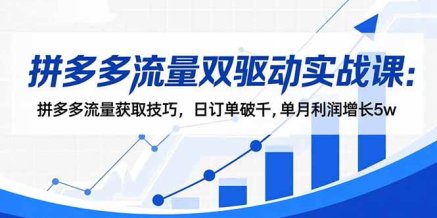 拼多多流量双驱动实战课:拼多多流量获取技巧,日订单破千,单月利润增长5w