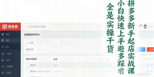 拼多多新手起店实战课:小白快速上手拼多多运营,避开踩坑,全是实操干货