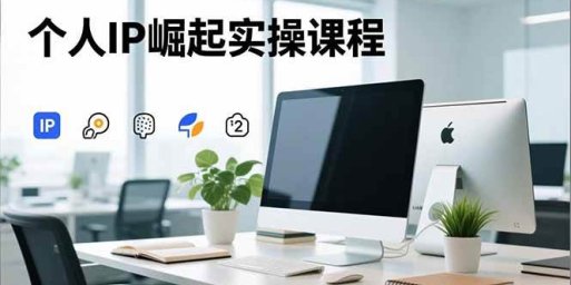 个人IP崛起实操课程,IP思维塑造+赛道精准调研+账号高变现搭建+内容创作