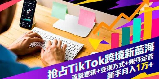 抢占TikTok跨境新蓝海:流量逻辑+变现方式+账号运营,新手月入1万+