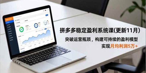 拼多多稳定盈利系统课(更新11月),突破运营瓶颈,构建可持续的盈利模型,实现月均利润5万+