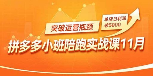 拼多多小班陪跑实战课11月,强付费矩阵、原价活动、暗券引流,突破运营瓶颈,单店日利润破5000