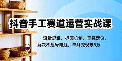 抖音手工赛道运营实战课,流量思维、标签机制、垂直定位,解决不起号难题,单月变现破3万