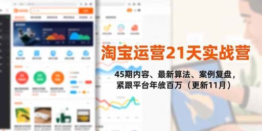 淘宝运营21天实战营,45期内容、最新算法、案例复盘,紧跟平台年入百万(更新11月)