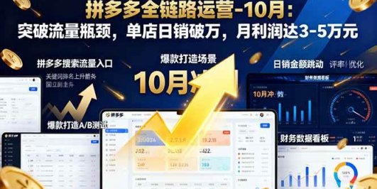 拼多多全链路运营-10月：突破流量瓶颈，单店日销破万，月利润达3-5万元