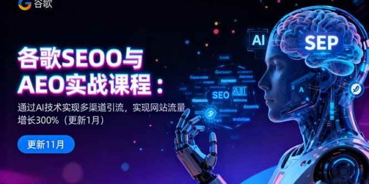 谷歌SEO与AEO实战课程：通过AI技术实现多渠道引流，实现网站流量增长300%
